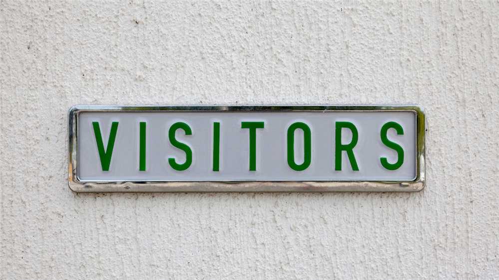  visitor